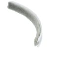 Uszczelka szczotkowa do szaf suwanych z klejem, 09-088