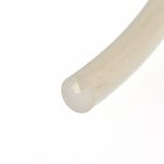 Close-up of a pale beige cylindrical object with a rounded end diagonally across a white background.